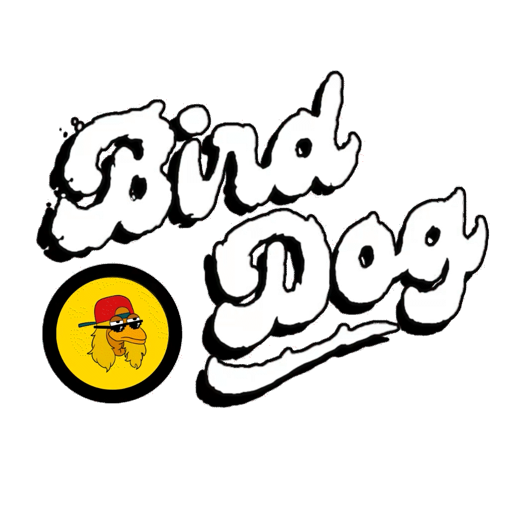 BirdDog Logo Animation